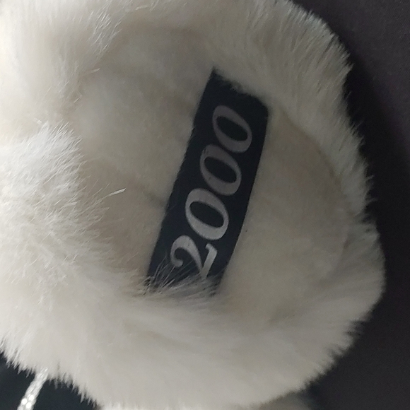 Millennium 2000 Teddy Bear! - Picture 2 of 7